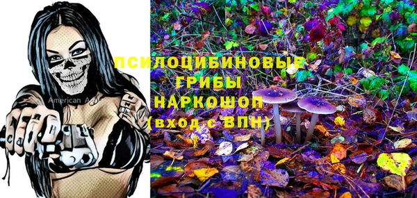 стаф Медвежьегорск