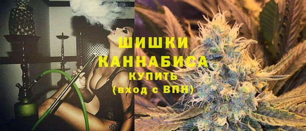 стаф Медвежьегорск