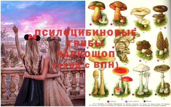стаф Мегион