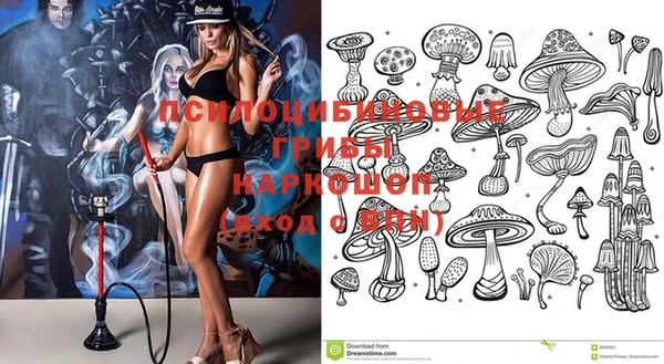 стаф Мегион