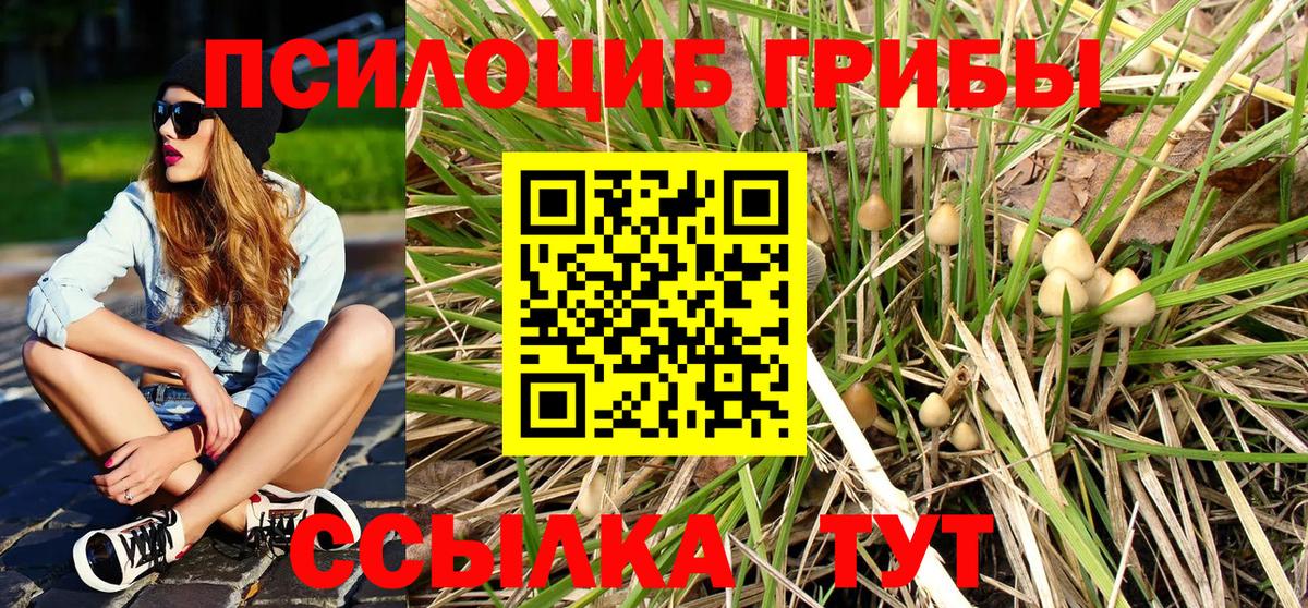 Псилоцибиновые грибы прущие грибы Томск