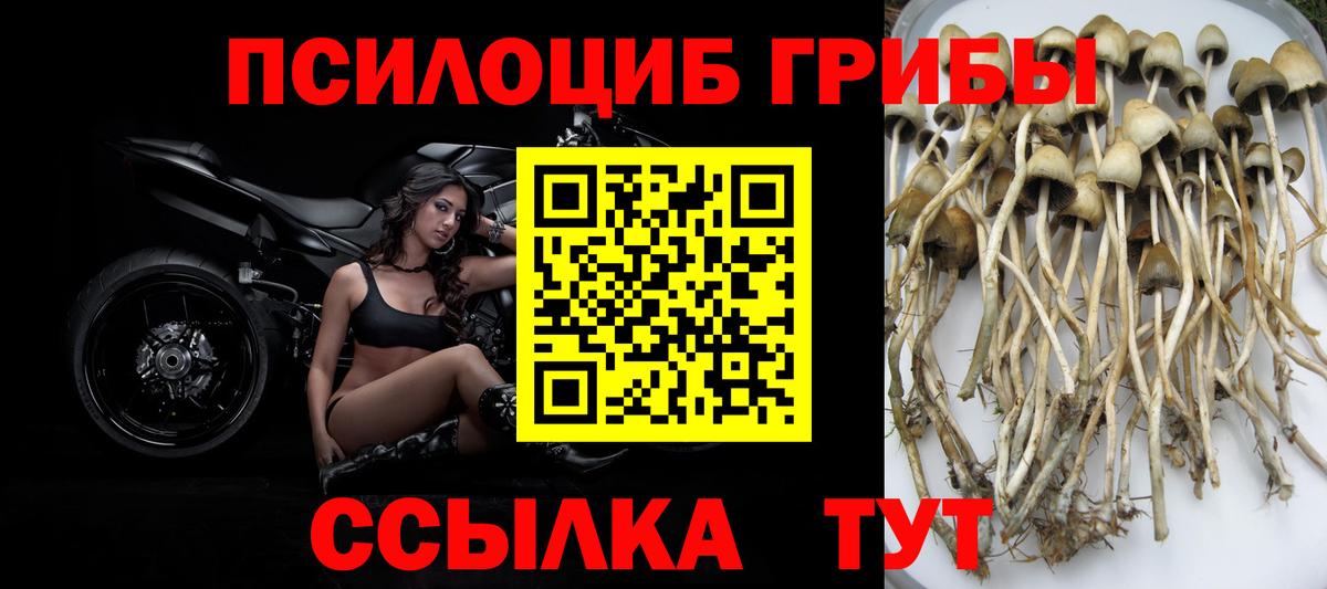 Томск  Галлюциногенные грибы MAGIC MUSHROOMS  Вход с VPN 