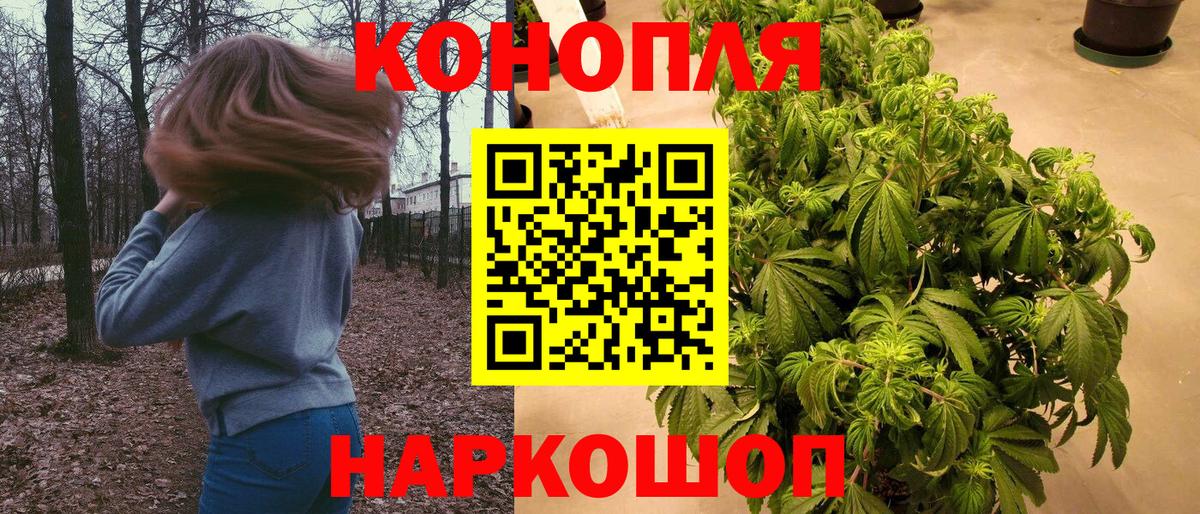 Томск  Шишки марихуана тримм  Вход с VPN  Шишки марихуана SATIVA & INDICA 